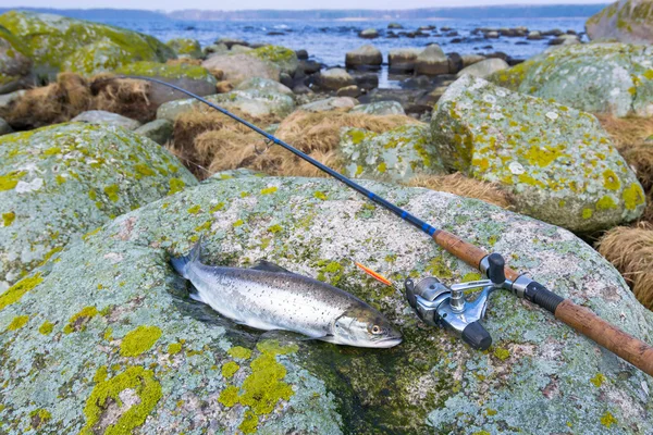 Early spring sea trout fishing — Stock Photo, Image