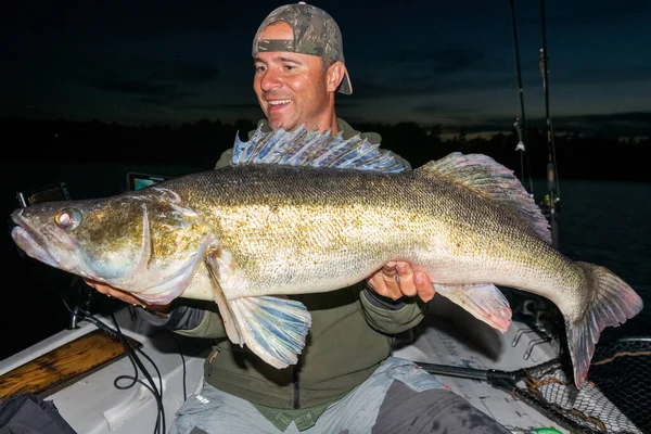 Gigantic Zander Night Summer Fishing — Stock Photo, Image