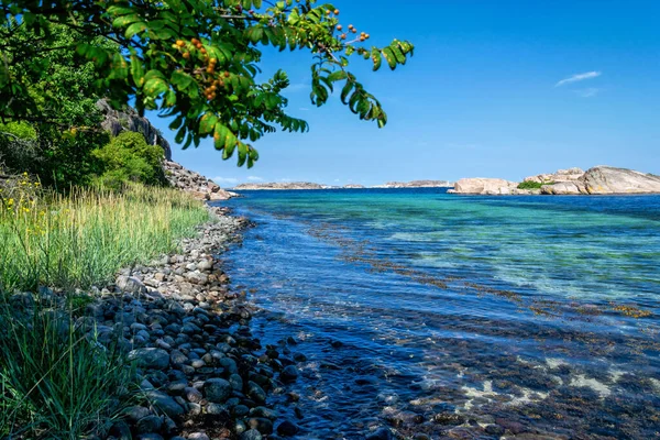 夏季风景中的瑞典海岸 — 图库照片