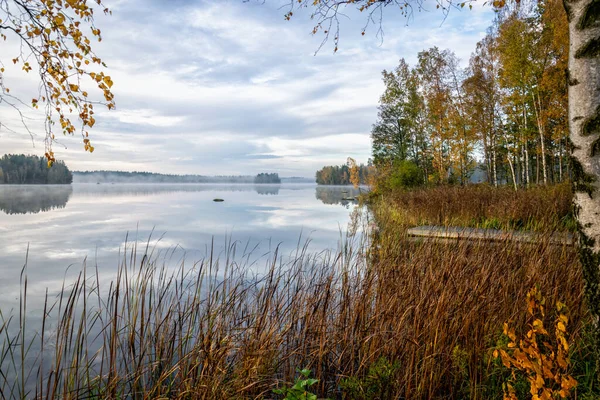 スウェーデンの湖の朝 — ストック写真