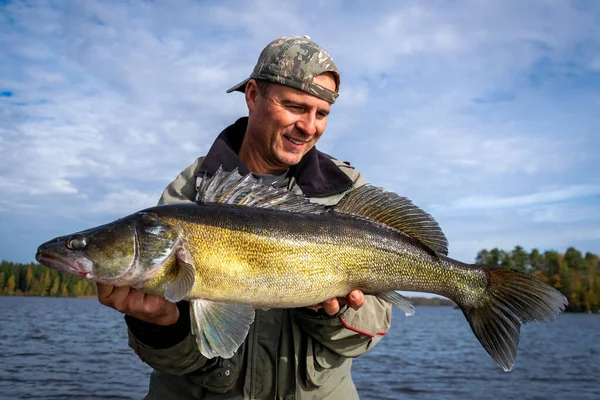 Pescador Segurando Enorme Peixe Zander — Fotografia de Stock