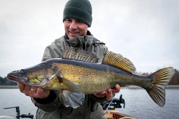 Angler Presentando Enorme Zander Lago — Foto Stock