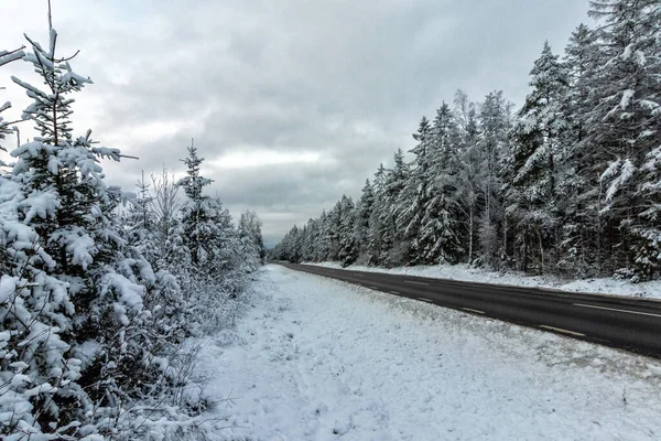 Paysage Hivernal Avec Autoroute Dans Forêt — Photo