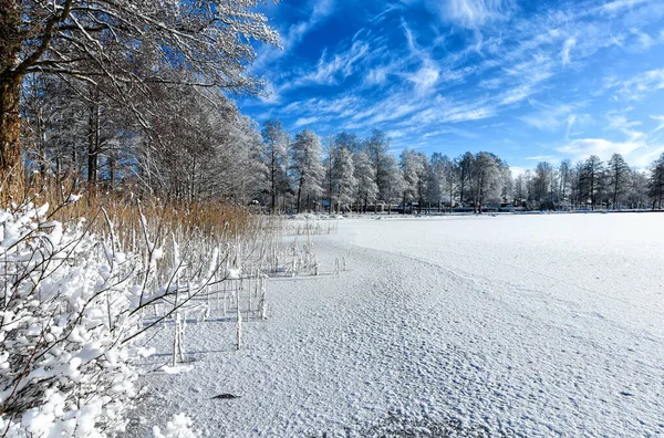 Januari Landschap Van Bevroren Meer — Stockfoto