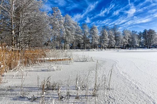 Seeufer Winterlicher Landschaft — Stockfoto