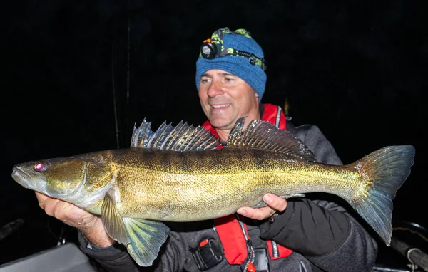 Night Zander Fishing Trophy October Stock Picture