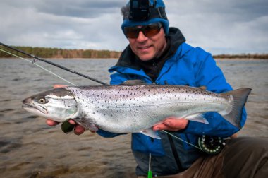Gümüş alabalıklar uçan yolda