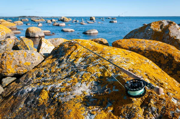 スウェーデンの海岸でフライフィッシング — ストック写真