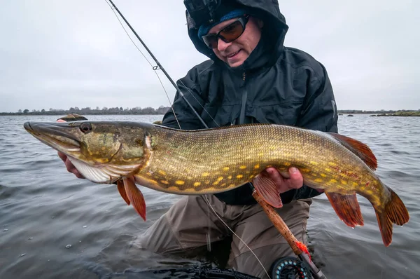 Pêche Brochet Hiver Sur Canne Mouche Images De Stock Libres De Droits