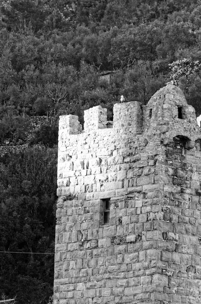 Portovenere — Foto de Stock