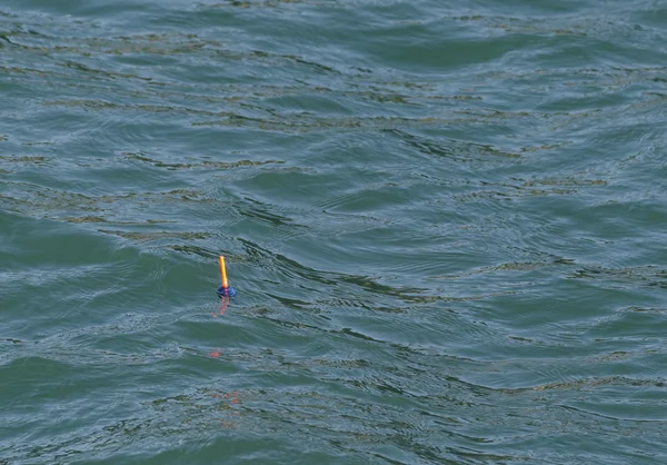 Balıkçılık float