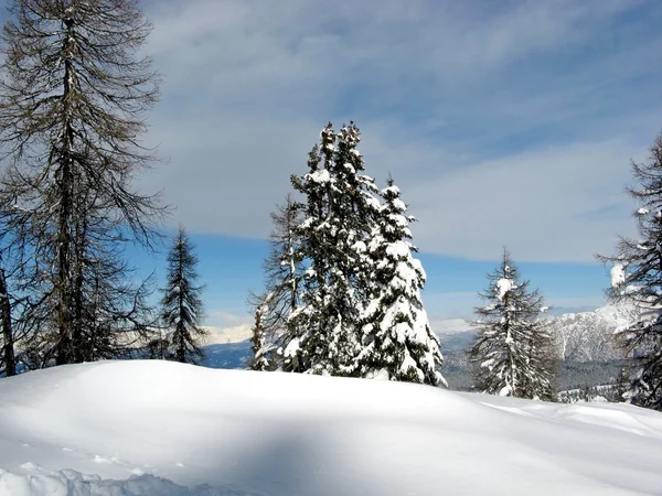 Vigo di fassa — Stock Photo, Image