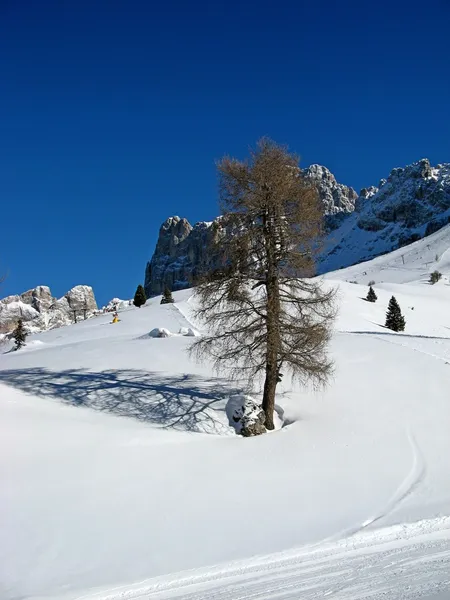 Vigo di fassa — Foto de Stock