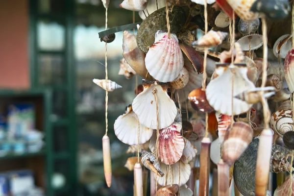 Shell op de markt — Stockfoto