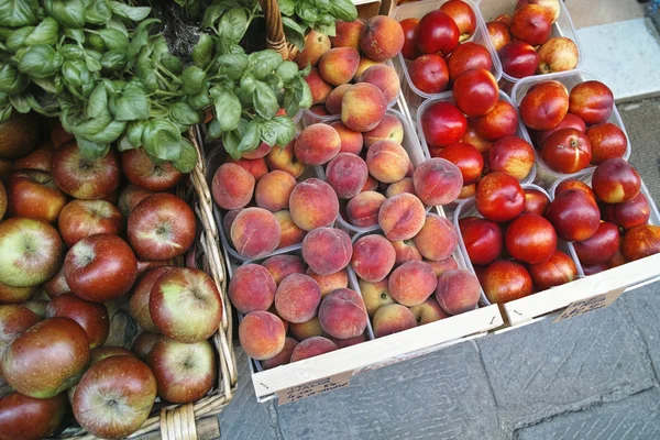 Frutta colorata — Foto Stock