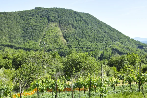 Lunigiana valley — Stock Fotó