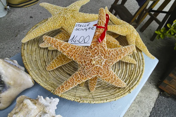 Bela estrela-do-mar no mercado — Fotografia de Stock