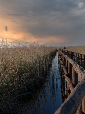 Doğa rezerv, Oasis LIPU Massaciuccoli, Lucca, Toskana - İtalya