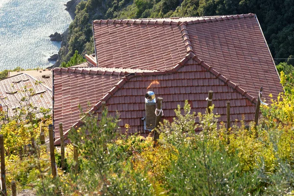 Casa Típica Liguriana Spezia — Fotografia de Stock