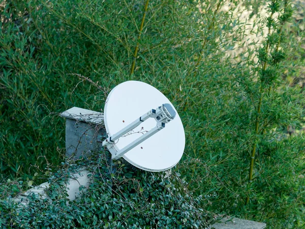 Détail Une Antenne Satellite Dans Pré — Photo