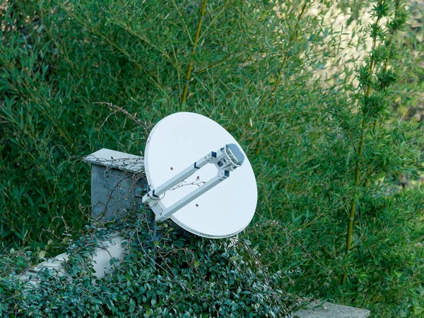 Detalle Una Antena Satélite Prado —  Fotos de Stock