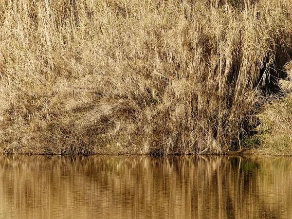 Bozzi Saudini Ein Kleiner See Sarzana Bei Spezia — Stockfoto