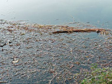 La Spezia yakınlarında Sarzana 'da küçük bir göl.