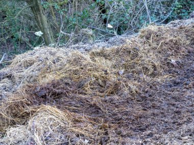 La spezia 'daki bir çayırda gübre ayrıntısı