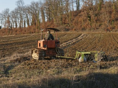 Tarım, traktör, ekili ekiciyle toprağı hazırlıyor. Tarım arazilerindeki tarım çalışmalarının ilkbahar başlarında tohumlama faaliyetlerinin bir parçası olarak..