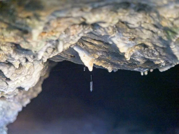 Grotte Bocca Lupara Dans Spezia Plein Stalactites Stalagmites Ligurie — Photo