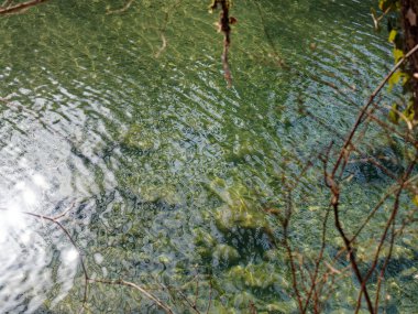 Siena yakınlarındaki Val Merse manzarası çok güzel.