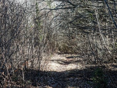 Siena yakınlarındaki Val Merse manzarası çok güzel.