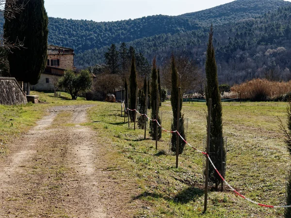 Sehr Schöner Blick Auf Val Merse Der Nähe Von Siena — Stockfoto