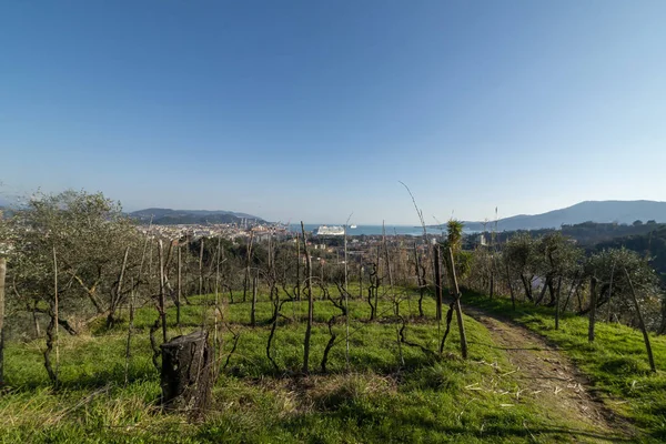 Vista Aérea Spezia Una Hermosa Ciudad Italia —  Fotos de Stock