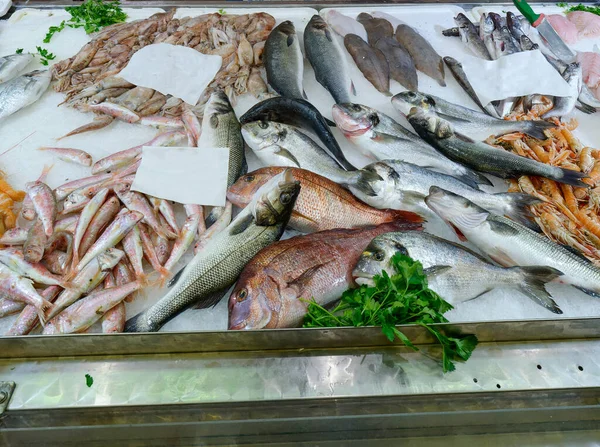 Frutos Mar Frescos Gelo Mercado Peixe — Fotografia de Stock
