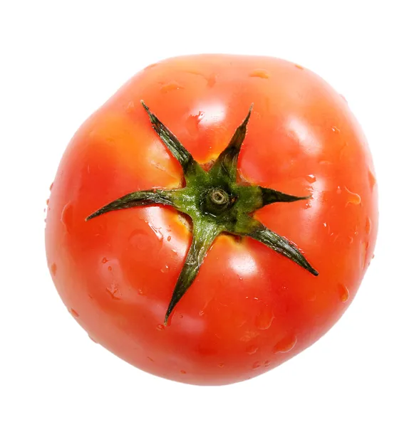 Big tomato — Stock Photo, Image