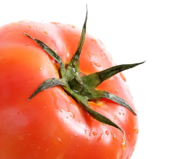 Tomato — Stock Photo, Image