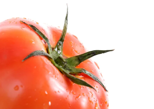 Tomato — Stock Photo, Image