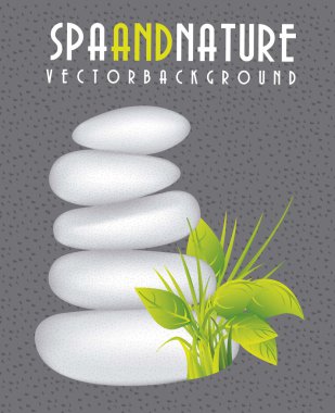taş spa