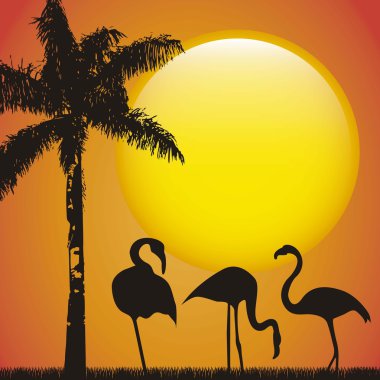 Flamingo