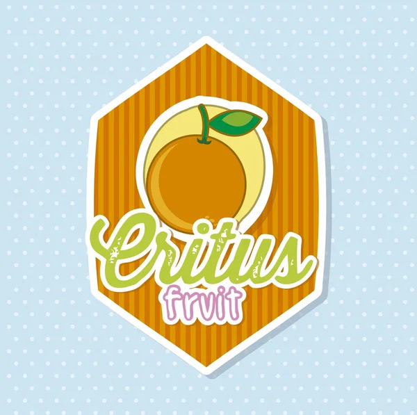 Citrus fruit — Stock Vector