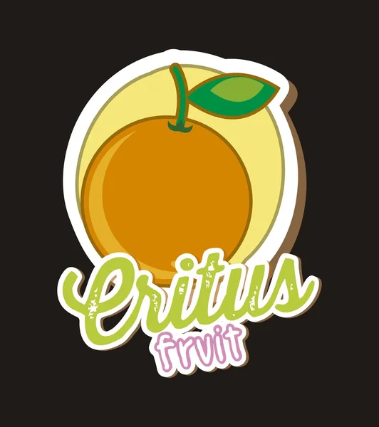 Fruitcitrus — Stockvector