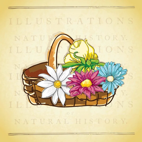 Flowers Icons — Stock Vector
