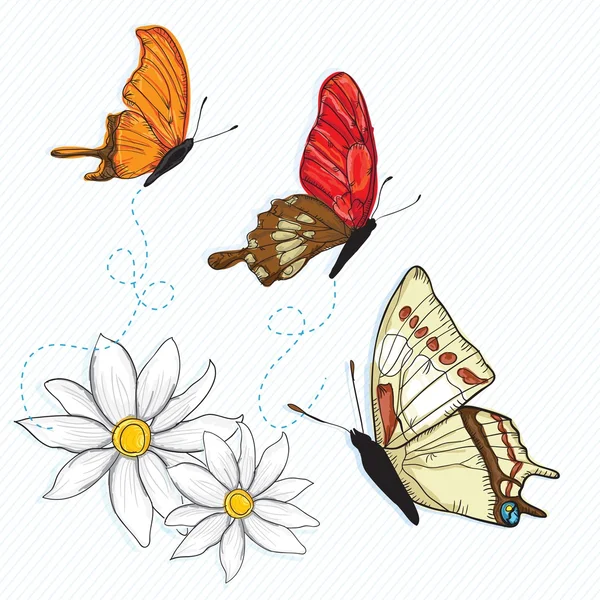 Iconos de mariposa — Archivo Imágenes Vectoriales