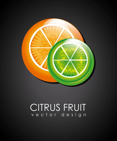 Fruitcitrus — Stockvector