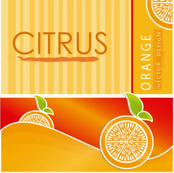 柑橘類の設計 — ストックベクタ