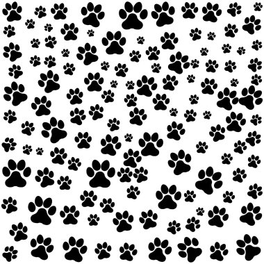 köpek ayak izi