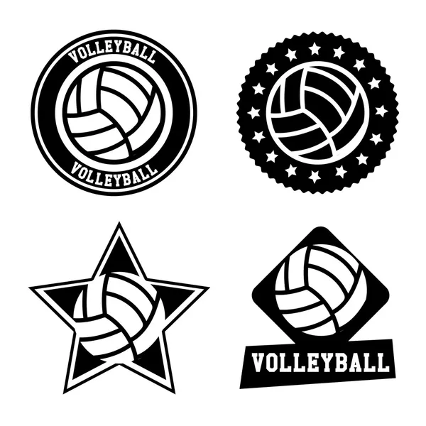 Volleyball seals — Stock Vector