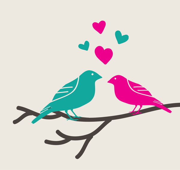 birds love
