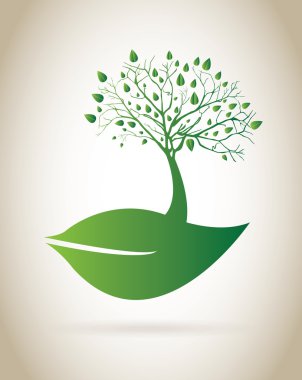 doğal hazırladılar